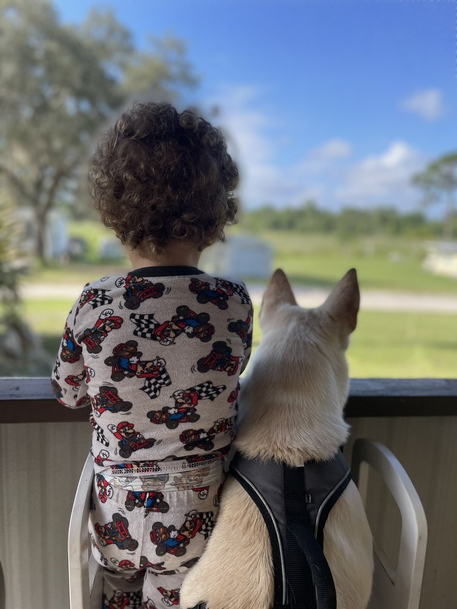 Queen_mkjay's tweet photo. Like??? She’s more his dog than mine or Devin’s. Listens to him when he tells her to sit or come to him. And ALWAYS cuddling and loving on him🥹 https://t.co/rV1GdaTwEa