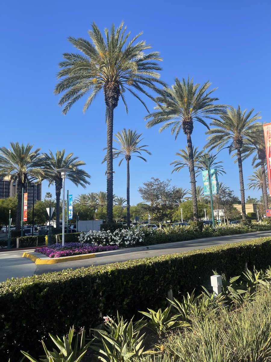 The Deredge Lab tweet media