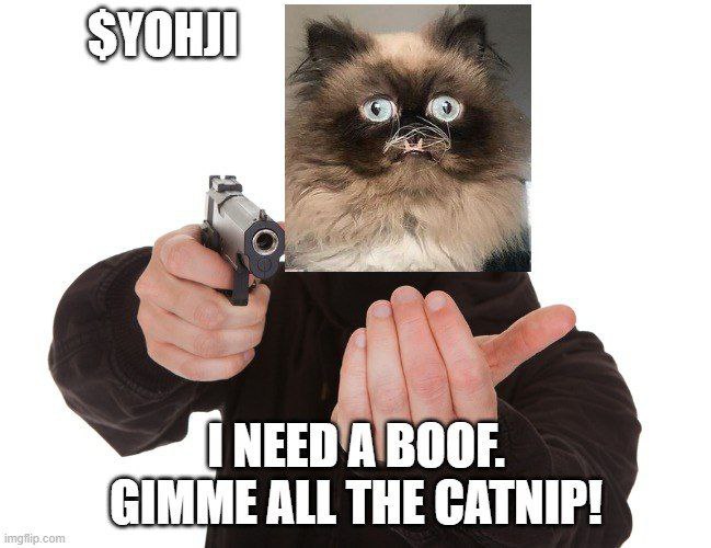YOHJICTO's tweet photo. $YOHJI

RAID COMP TONIGHT!  STARTING IN 15 MIN.

WIN SOME $$ AND PUMP YOUR BAGS!

Details in tg.

#Solana $MICHI #MemeCommunity https://t.co/vPrawsjpba