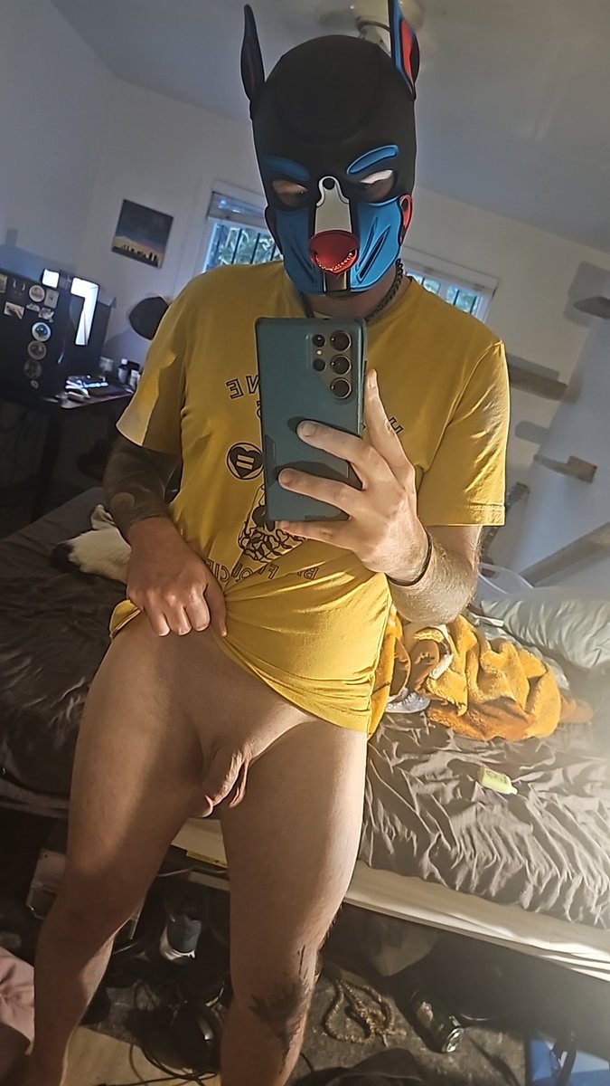 LewdKodaFox's tweet photo. Hows everyone doing? https://t.co/vk5K8BjQlB