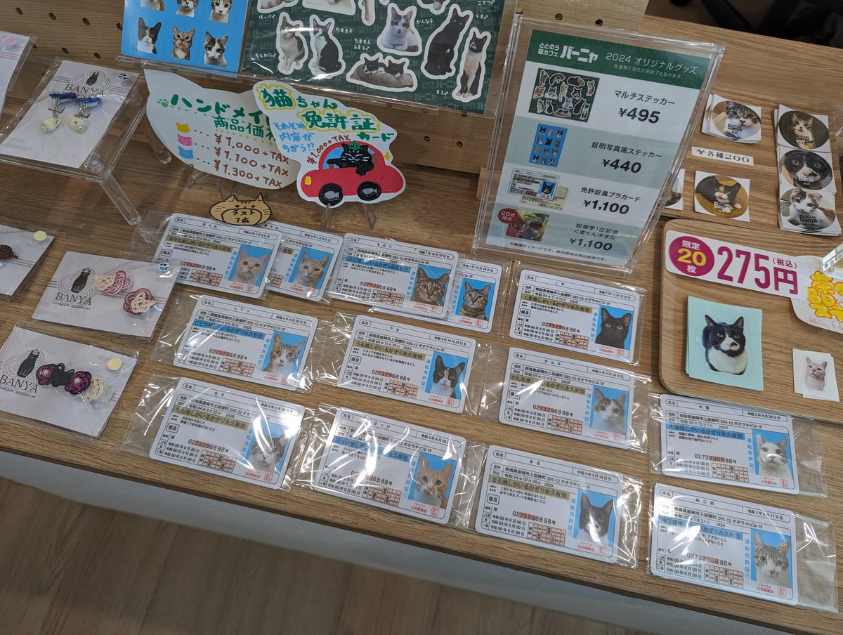 nekosauna1's tweet photo. お待たせしました!!
大人気の猫ちゃん免許証が本日から再販です🚗
写真が変わった子や、青免許に降格など変更のある子も居ます!
茶々丸ともみじのみ、新旧どちらも在庫があります✨
#バーニャ #猫 #保護猫 #免許証 #群馬保護猫 #猫カフェ #catcaffe https://t.co/JCKOt8kiql