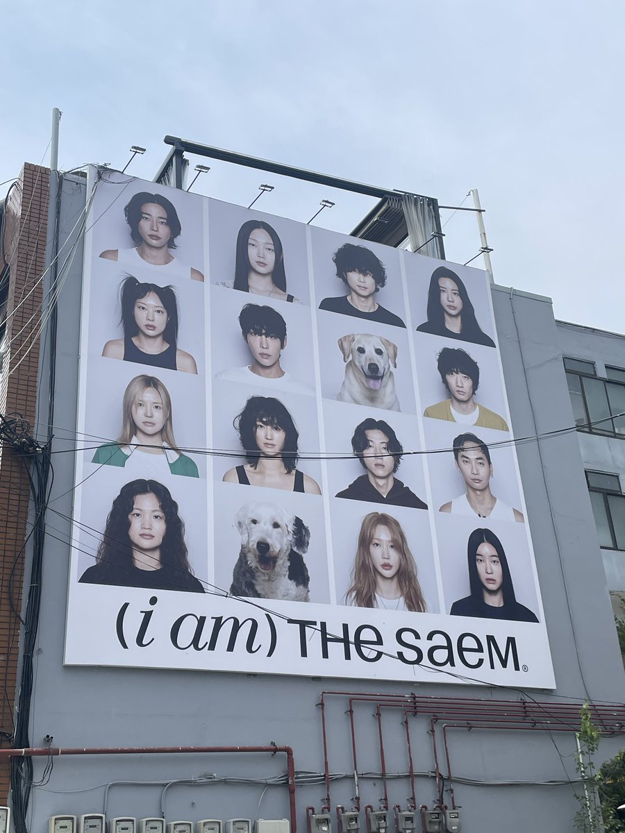 thesaem's tweet photo. 🎉더샘 팝업 D - DAY 🎉
넘 기대❣️ 다들 즐겁게 놀고가요٩(๑❛ᴗ❛๑)۶💜 https://t.co/pvM9IB1mHB