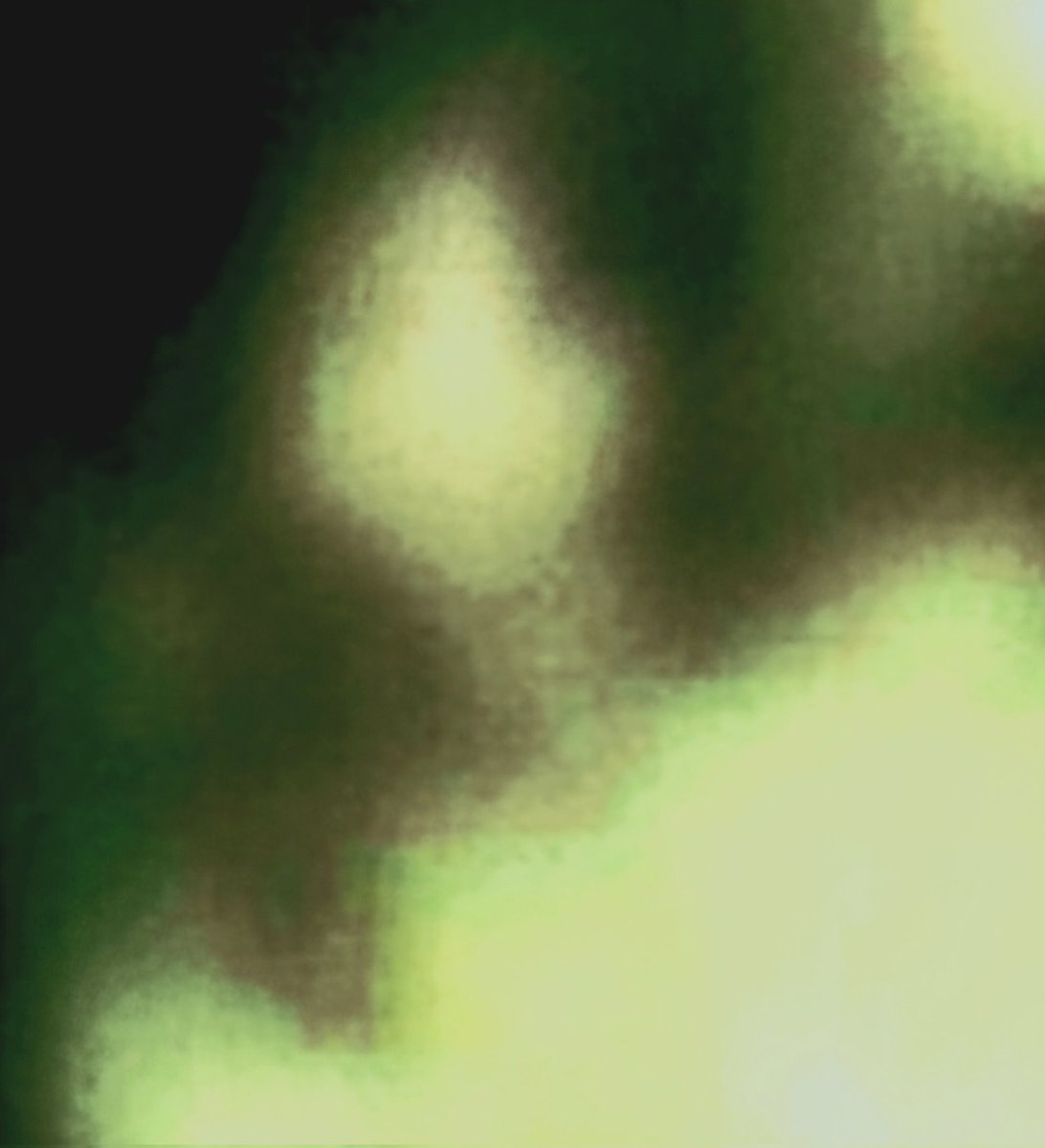 Justis_sky1229's tweet photo. #nhi #ufotwitter  #shadowbiosphere #ufo https://t.co/87GoqIS8BZ