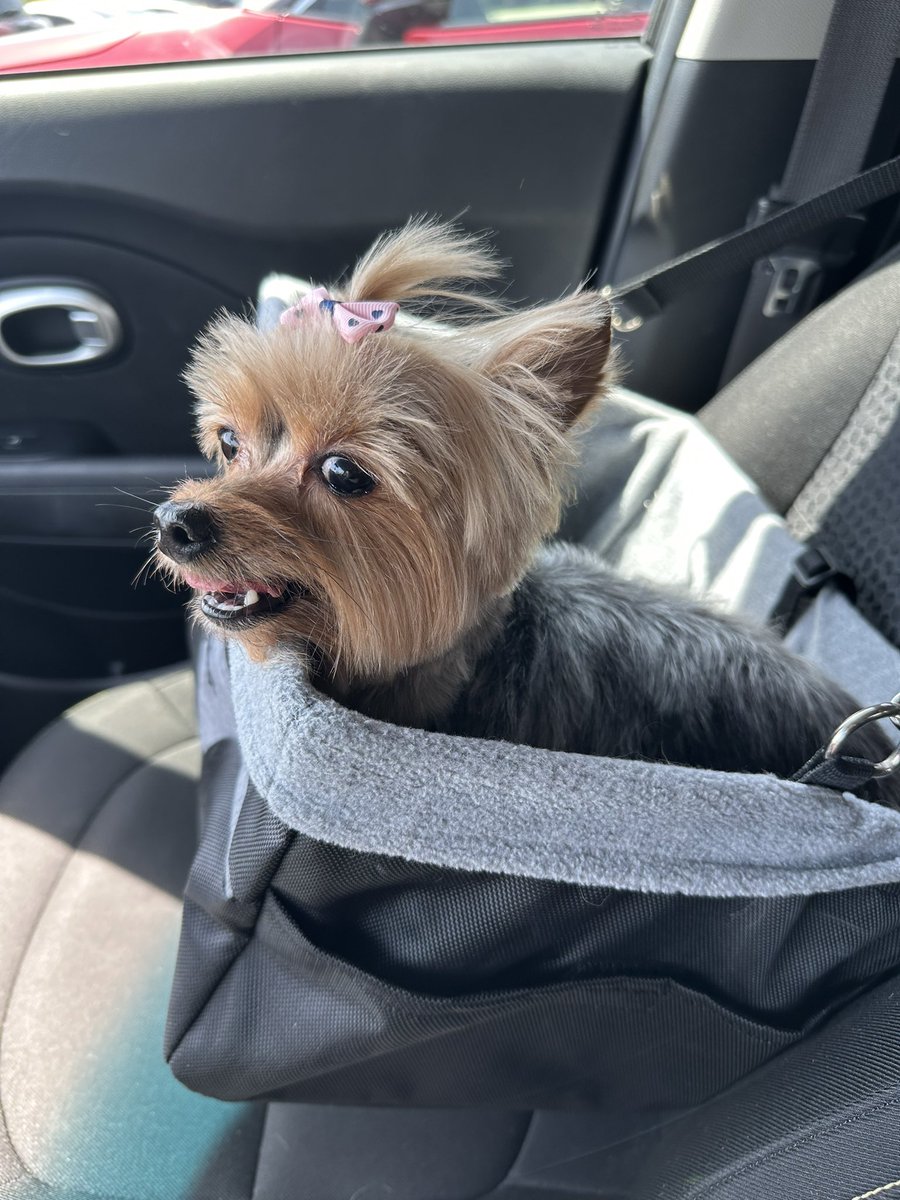 curelixir's tweet image. she is my best friend