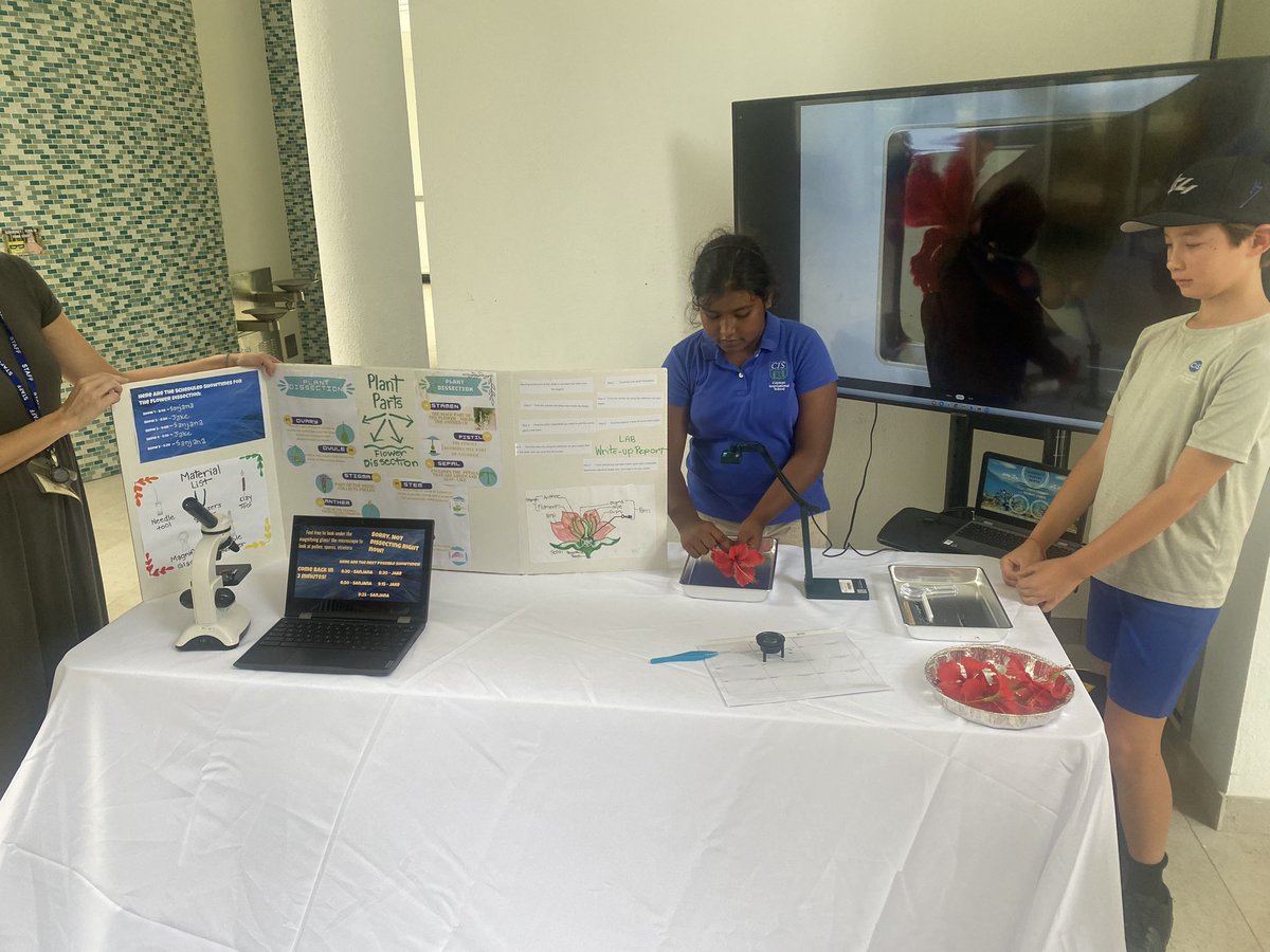 Dr. Martin Thomas tweet media