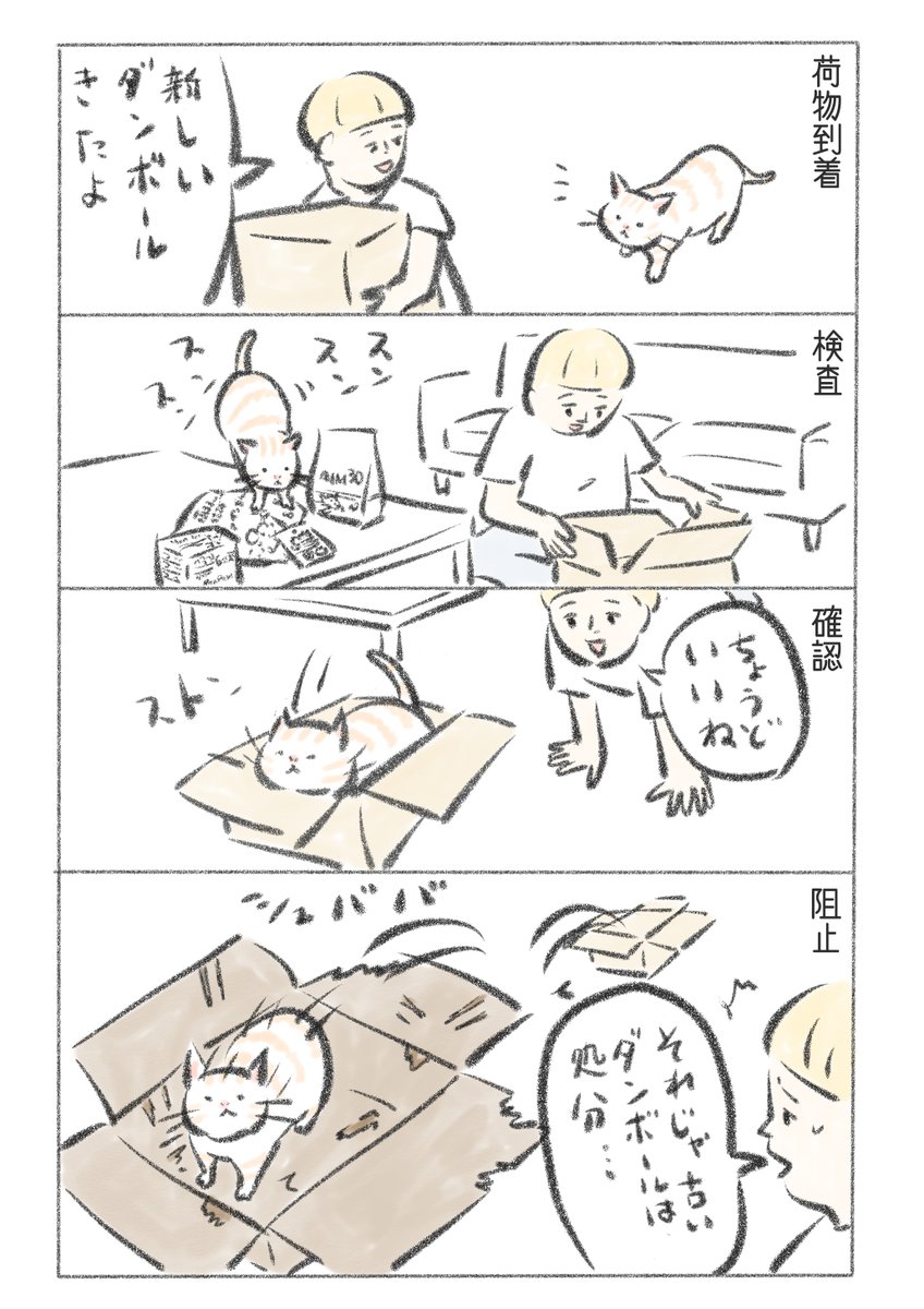 我が家には古いダンボールから新しいダンボールへの移行期間があります。 