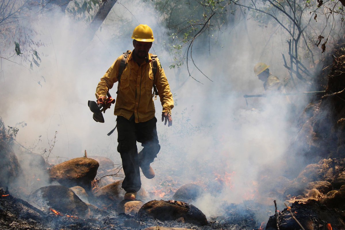 PepeGalindoC's tweet photo. El Mando Unificado de Incendios Forestales informa que el incendio forestal localizado en el paraje “Barranca del Tecolote” en la colonia Lomas Tetela del municipio de Cuernavaca, quedó controlado y liquidado en su totalidad.

https://t.co/KPahN5VdyM? https://t.co/nUvSBvOt5n