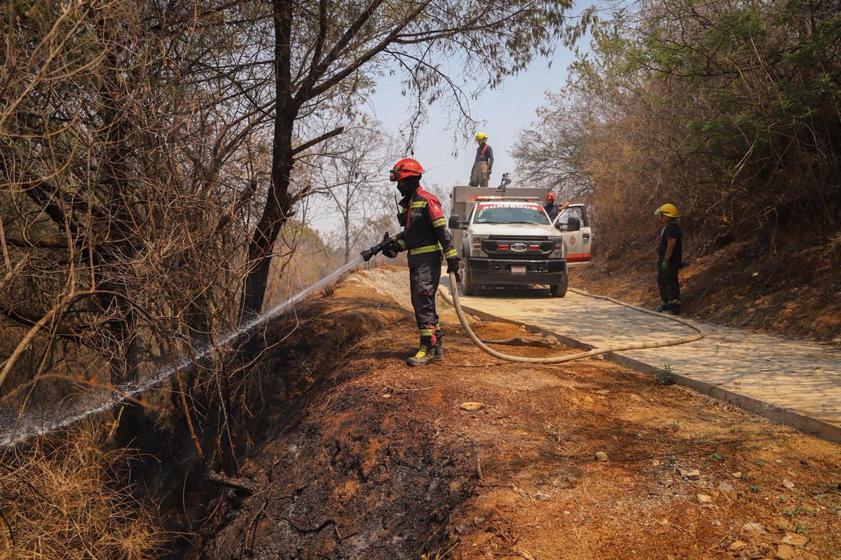 PepeGalindoC's tweet photo. El Mando Unificado de Incendios Forestales informa que el incendio forestal localizado en el paraje “Barranca del Tecolote” en la colonia Lomas Tetela del municipio de Cuernavaca, quedó controlado y liquidado en su totalidad.

https://t.co/KPahN5VdyM? https://t.co/nUvSBvOt5n
