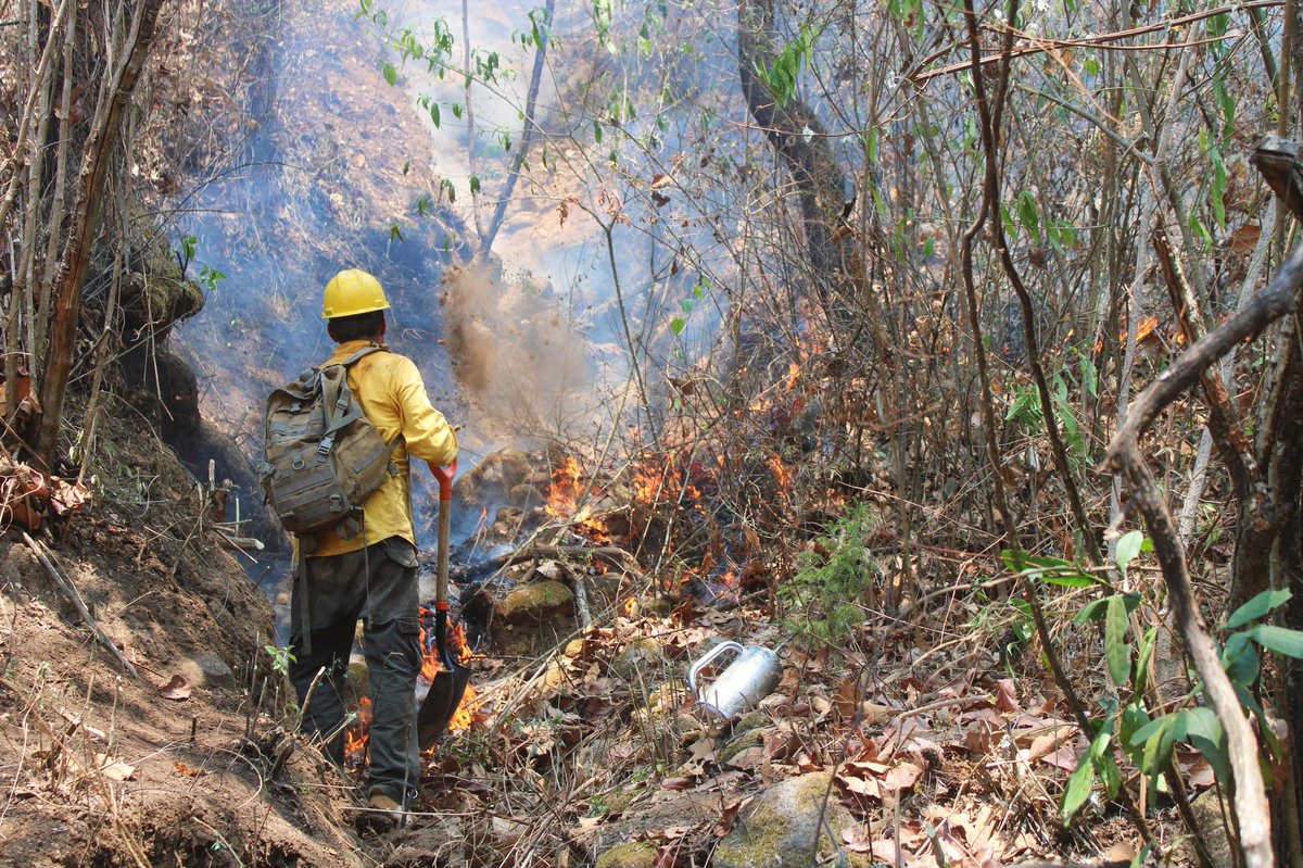 PepeGalindoC's tweet photo. El Mando Unificado de Incendios Forestales informa que el incendio forestal localizado en el paraje “Barranca del Tecolote” en la colonia Lomas Tetela del municipio de Cuernavaca, quedó controlado y liquidado en su totalidad.

https://t.co/KPahN5VdyM? https://t.co/nUvSBvOt5n