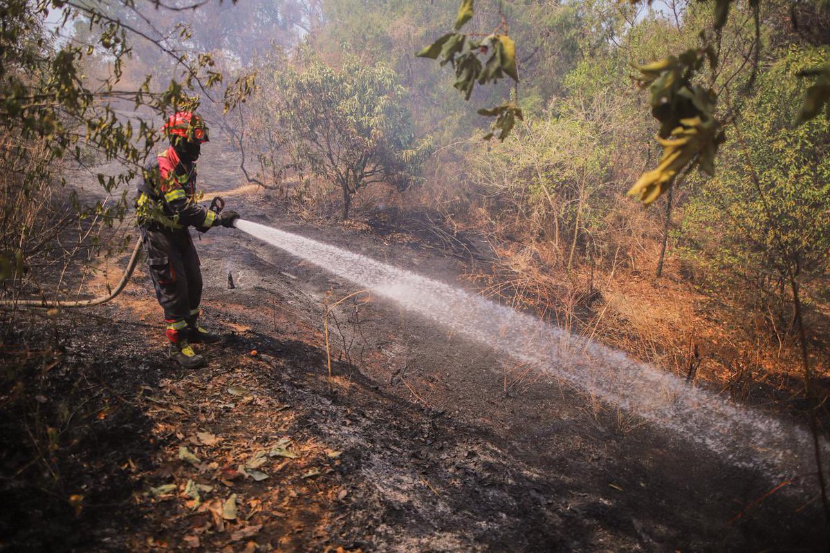 PepeGalindoC's tweet photo. El Mando Unificado de Incendios Forestales informa que el incendio forestal localizado en el paraje “Barranca del Tecolote” en la colonia Lomas Tetela del municipio de Cuernavaca, quedó controlado y liquidado en su totalidad.

https://t.co/KPahN5VdyM? https://t.co/nUvSBvOt5n