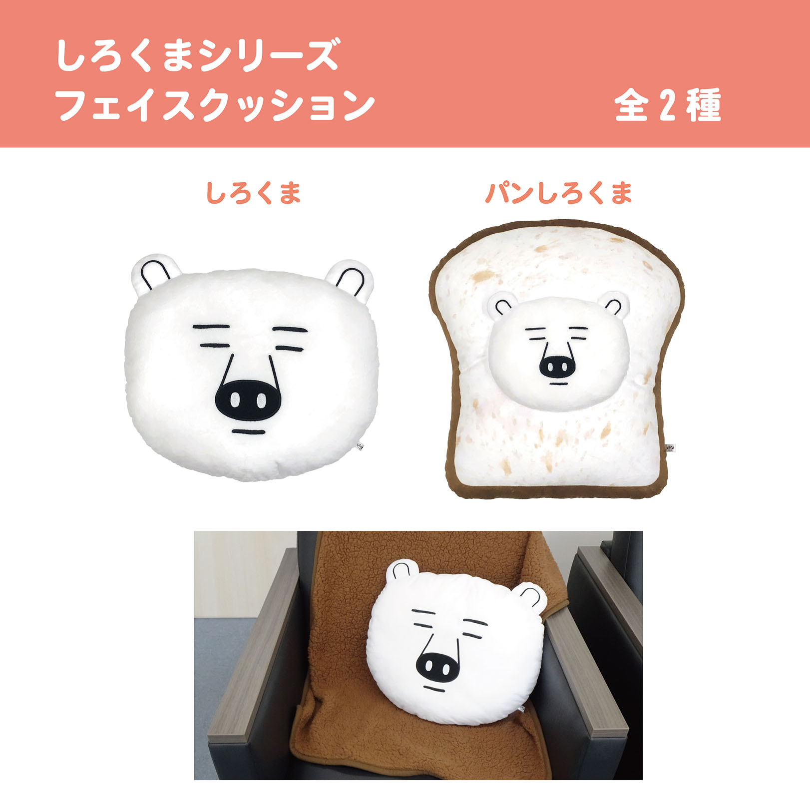 専用　柴田ケイコ　しろくま　7冊セット おいしそうなしろくま POPUP STORE | イベント | 高知 蔦屋書店