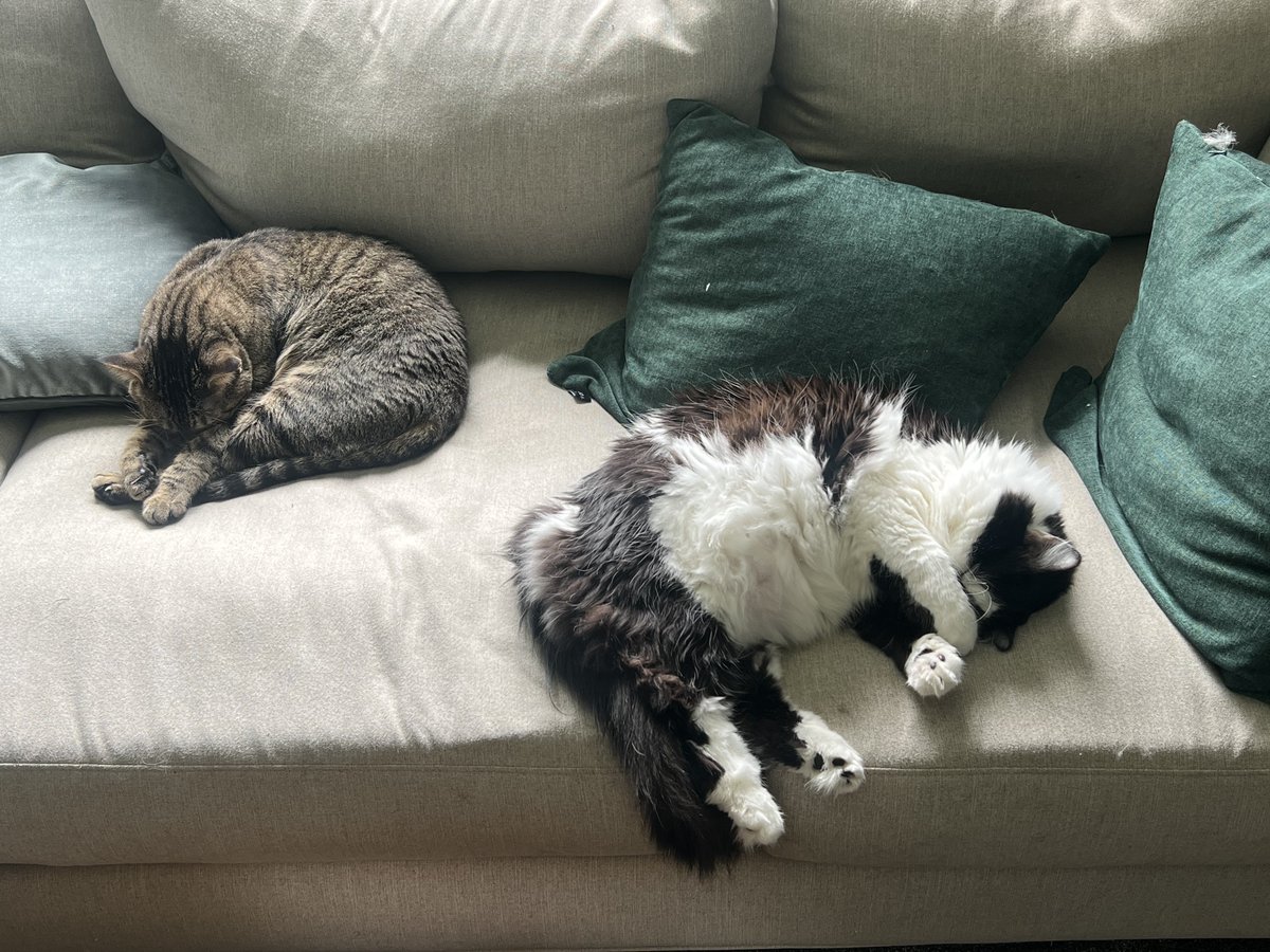 ブランドン兄の隣で眠っている