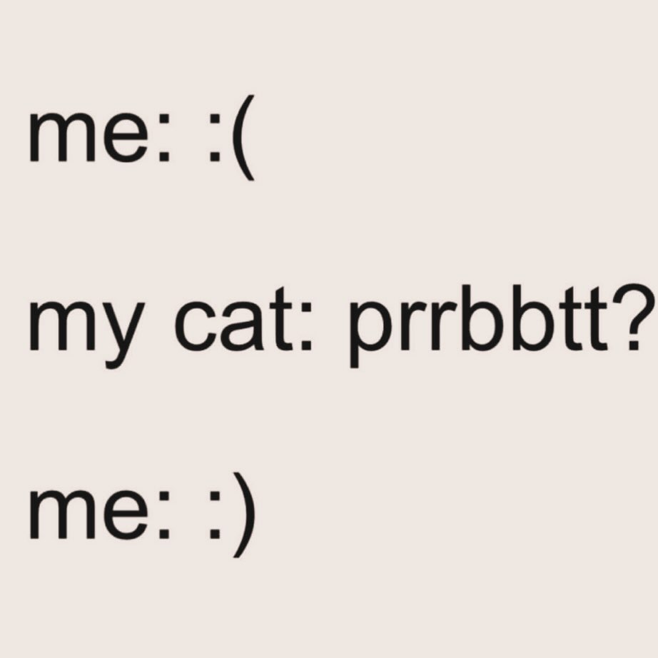 PunchingCat's tweet image. :)