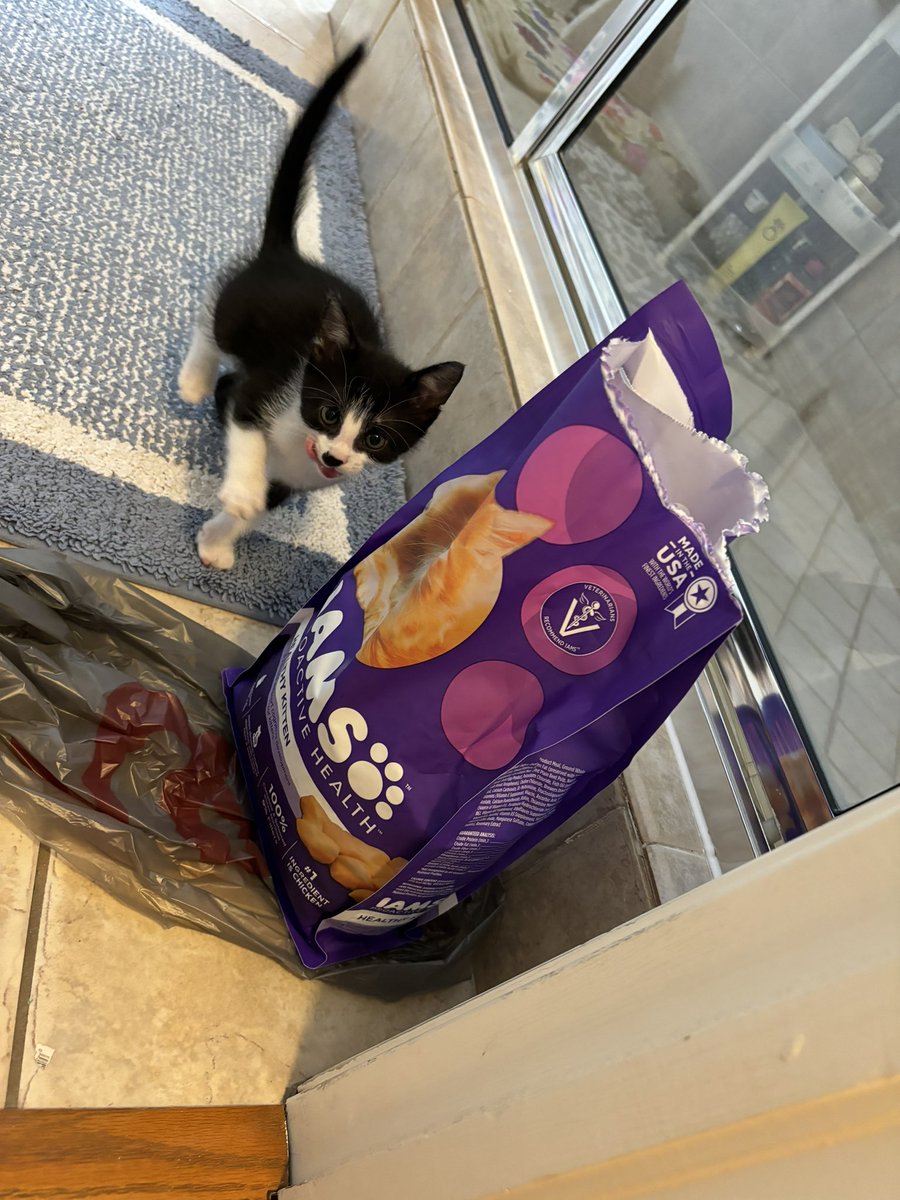 ans929's tweet photo. @IAMS SHOUTOUT!!!! BEANY BUG JUST ATE HIS FIRST BITE OF FOOD EVER THAT WASN’T FORMULA!!!!!!!! https://t.co/XlmYYeV0Hh