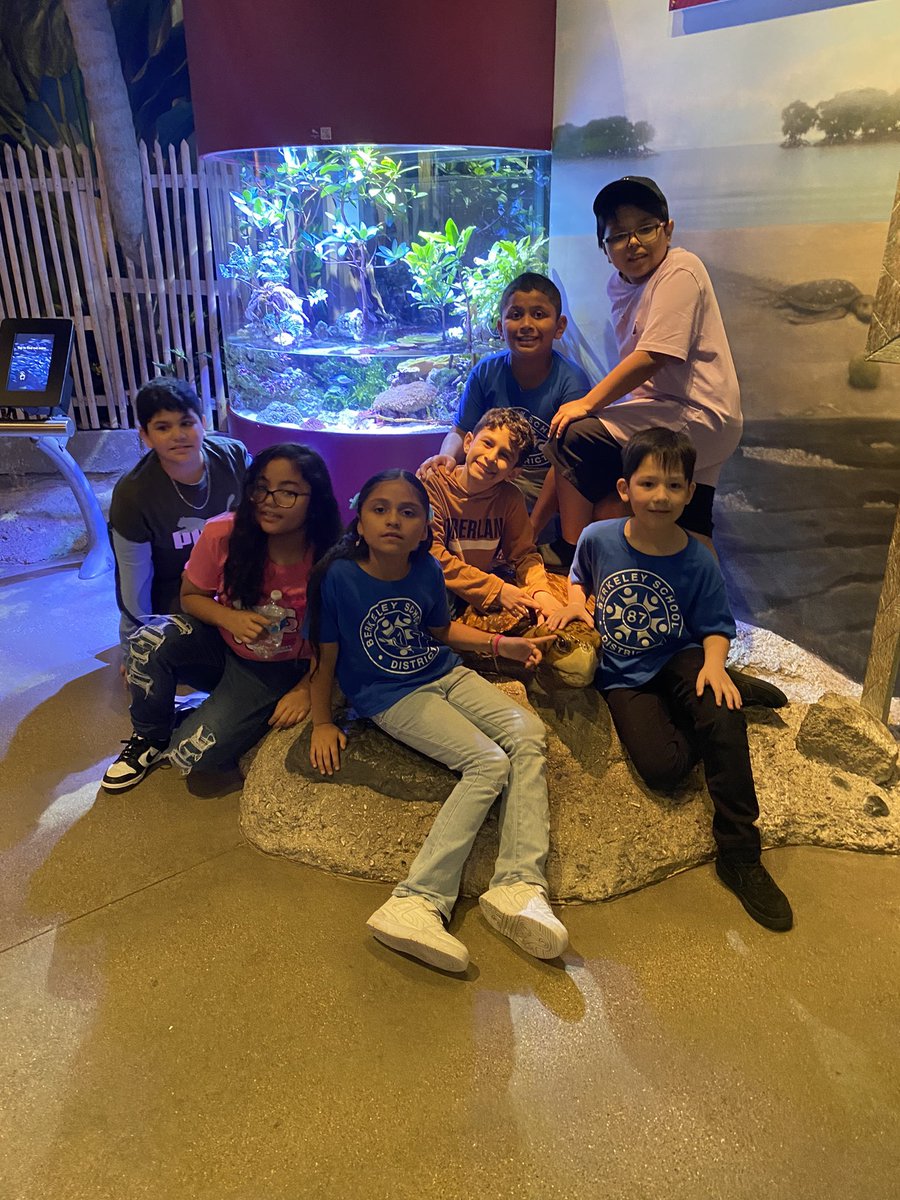 mpetersonD87's tweet photo. Shed Aquarium 🌊 🐟 https://t.co/vNzTvWJn70