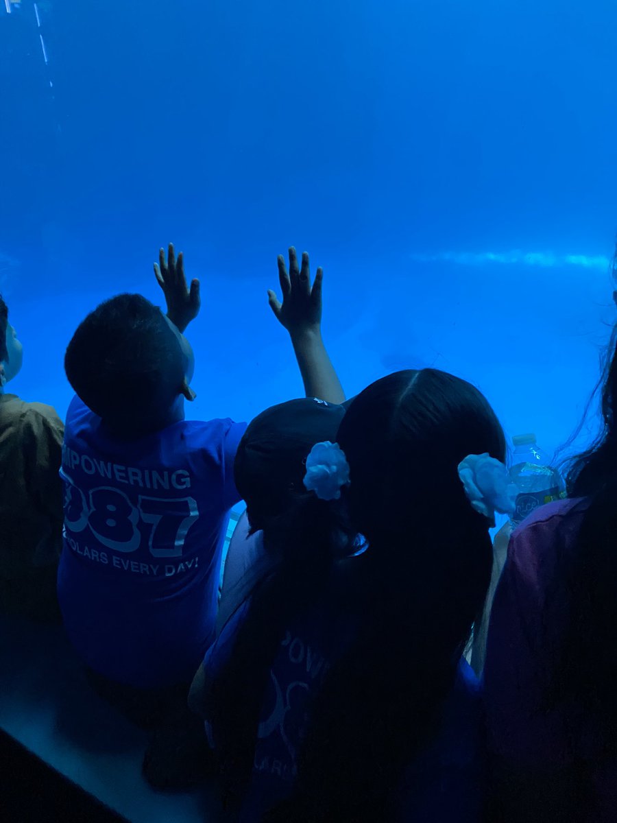 mpetersonD87's tweet photo. Shed Aquarium 🌊 🐟 https://t.co/vNzTvWJn70