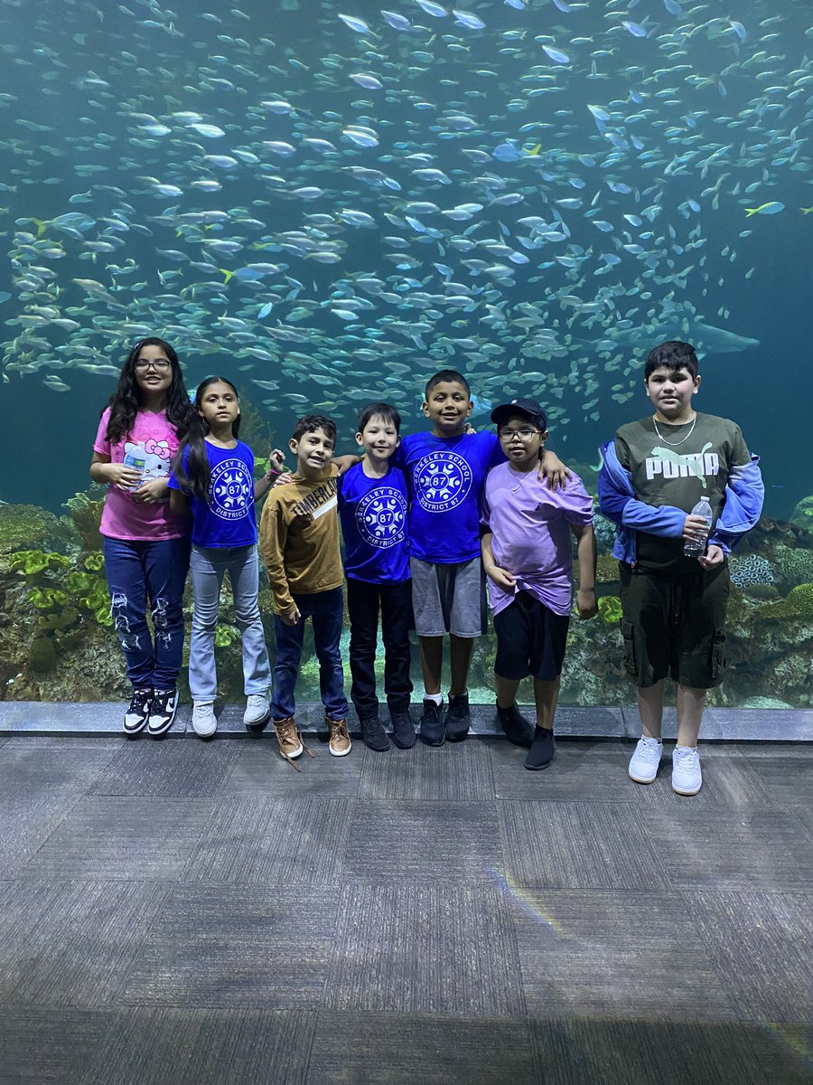 mpetersonD87's tweet photo. Shed Aquarium 🌊 🐟 https://t.co/vNzTvWJn70