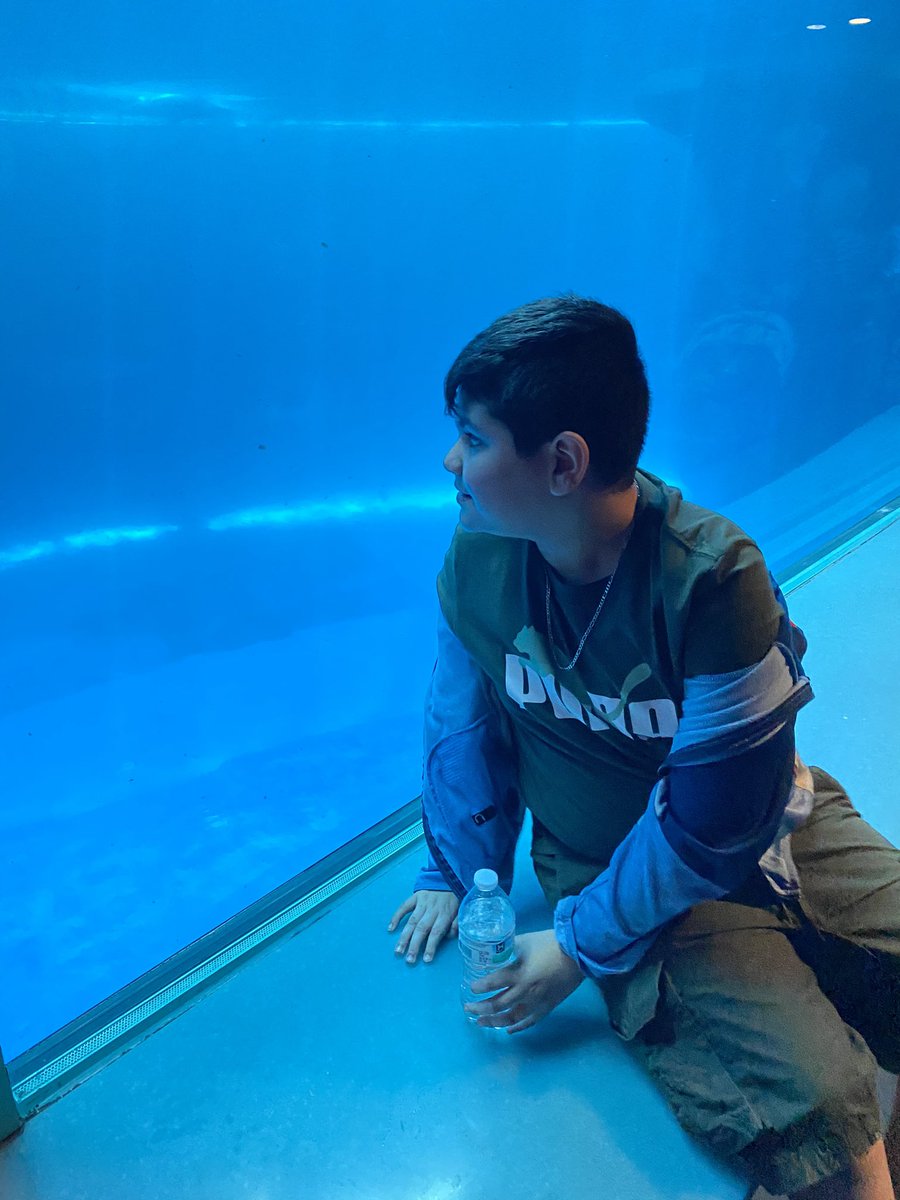 mpetersonD87's tweet photo. Shed Aquarium 🌊 🐟 https://t.co/vNzTvWJn70