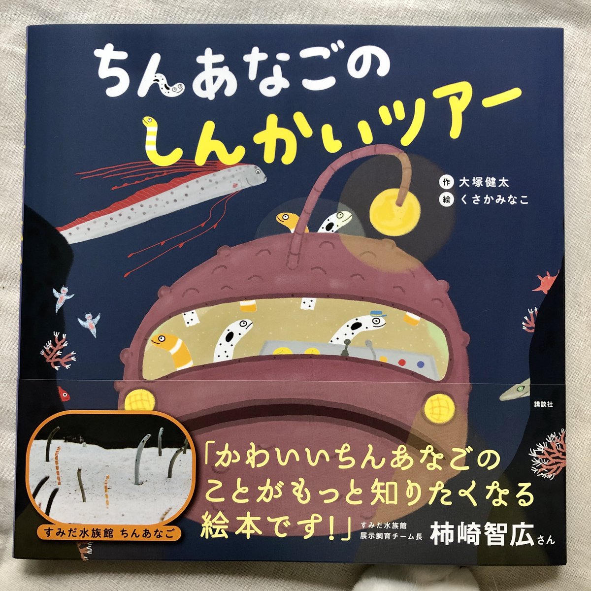ちんあなごのしんかいツアー』見本が届きました。 色も綺麗に出ていて