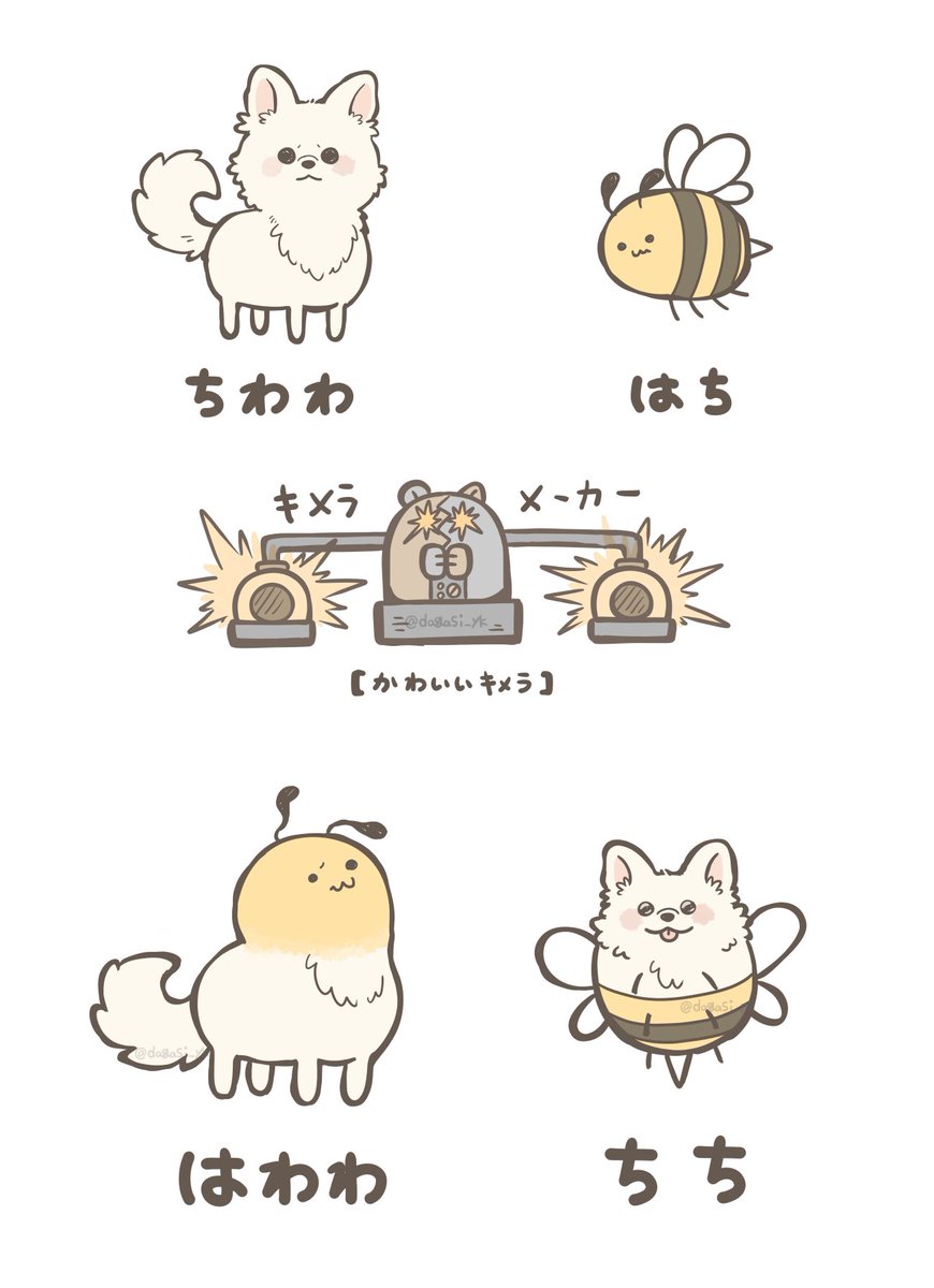 dagasi_yk's tweet photo. チワワとハチのキメラ https://t.co/F7dSPN4Ghy