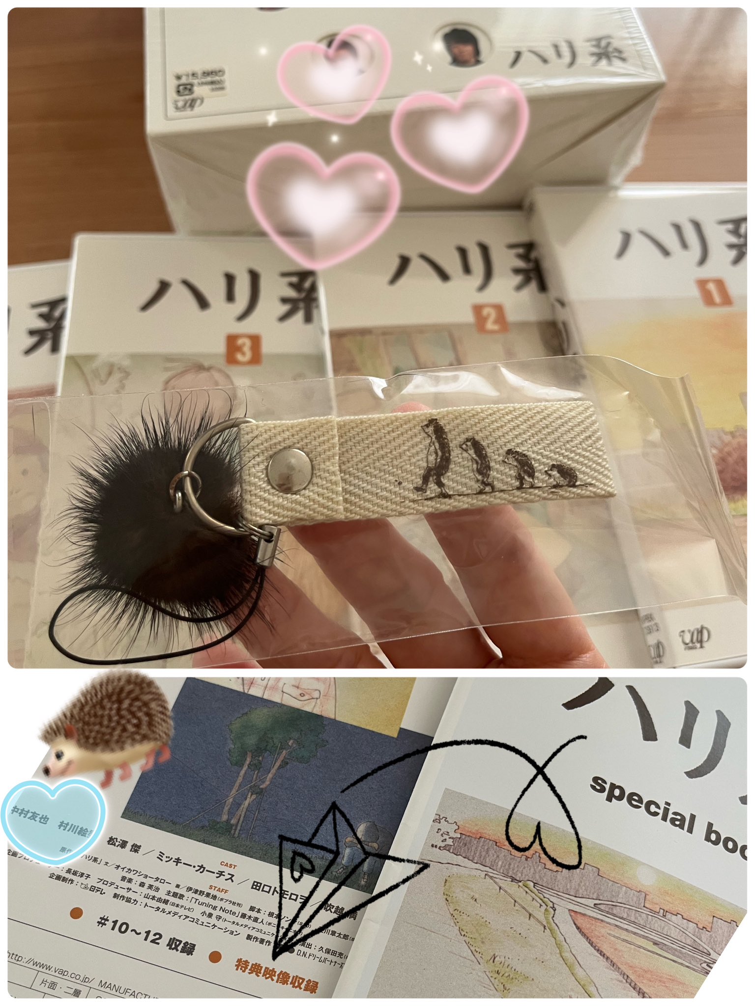 ハリ系 DVD-BOX 中村倫也 【公式通販】