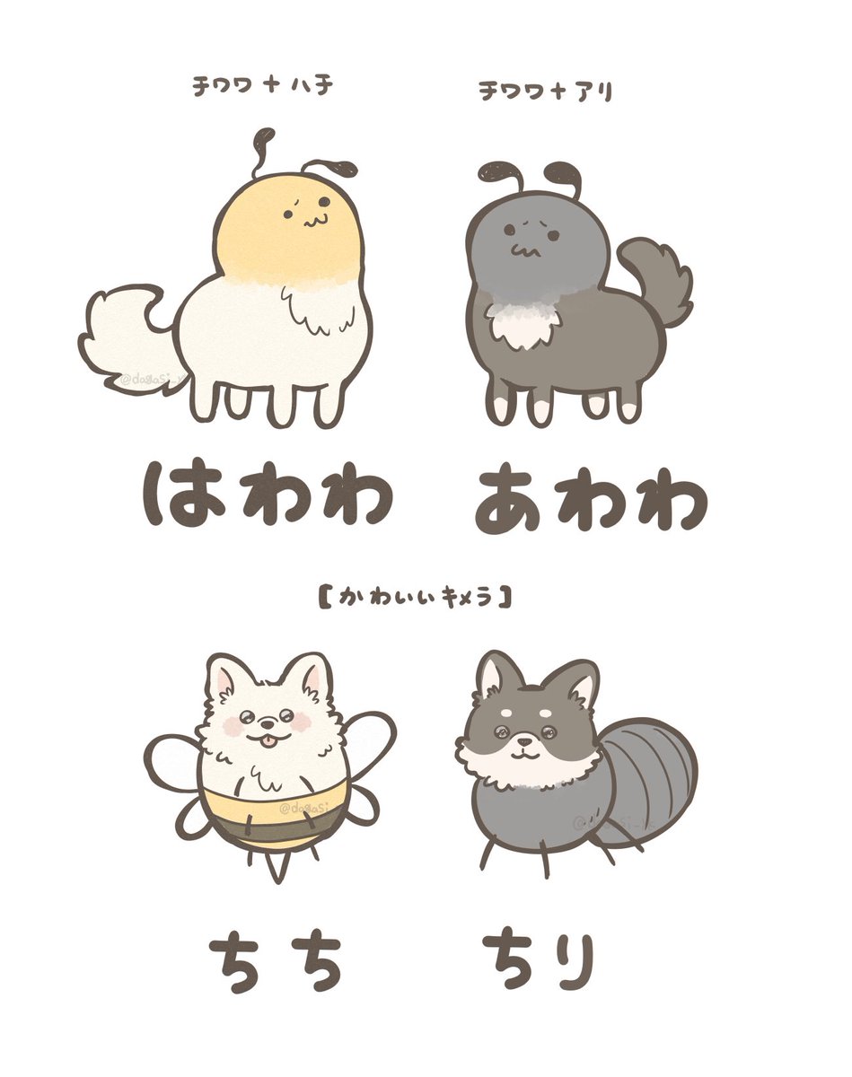 はわわ…あわわ… 