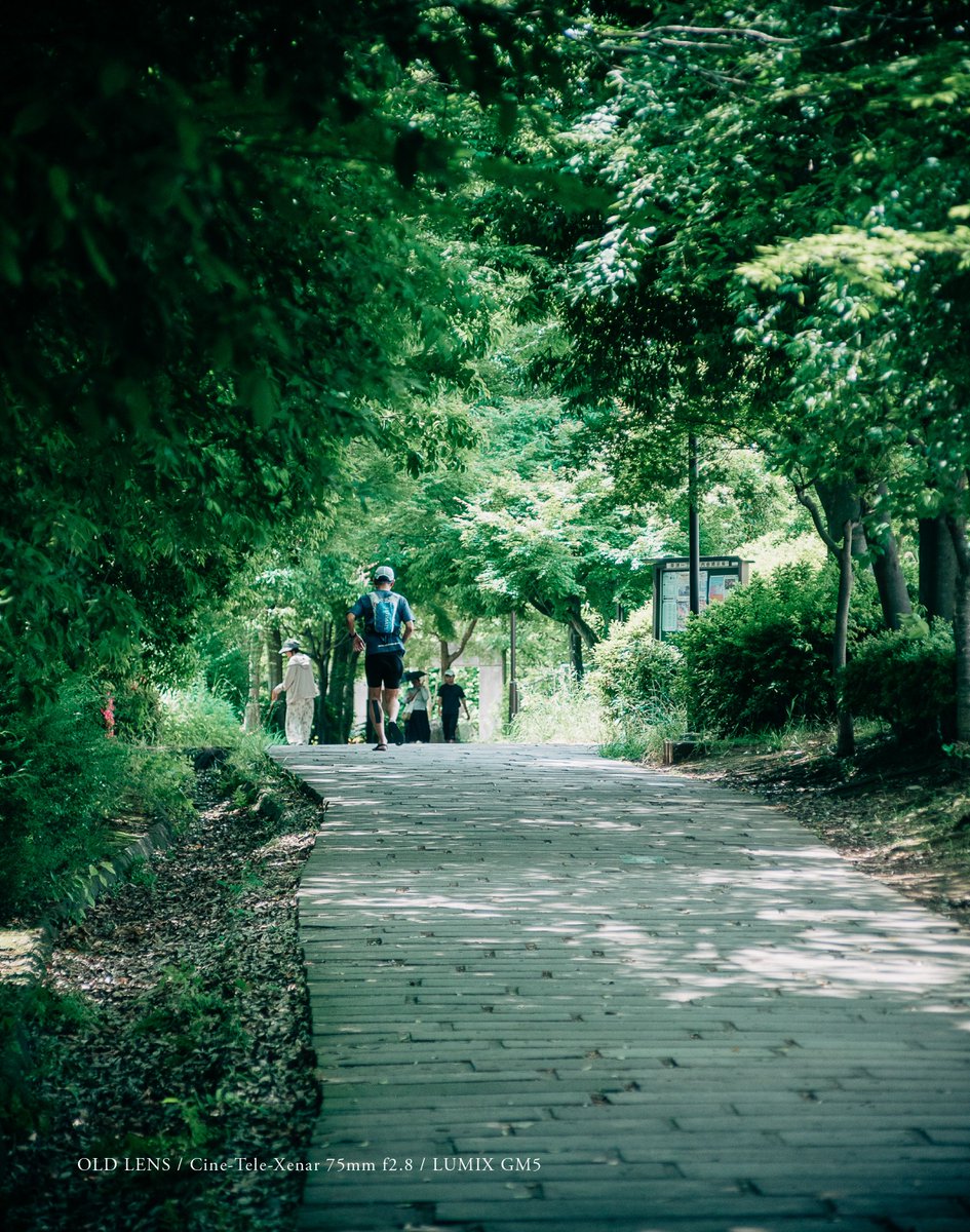 tomolens's tweet photo. Never-stopping runner.
่ตฐใ็ถใใไบบใ
.
โ lens /ย Cine-Tele-Xenar 75mm f2.8
๐ท camera / #LUMIX #GM5
๐ theme /ย #VintageTravelBooks
.
.
#vintagelens #oldlensย #filmlens #cinelens #photobook #travelbook #tsuzuki #yokohama #kanagawa #japan #unknownjapan #travel https://t.co/TM5FtRKpSh