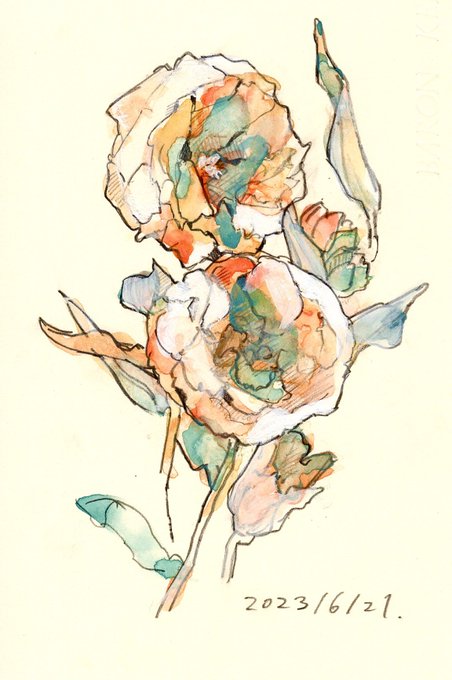 「leaf white flower」 illustration images(Latest)