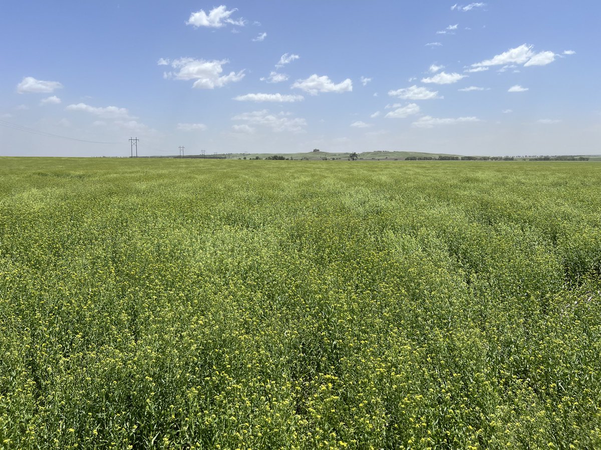 Joe Breker tweet media