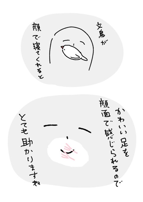 文鳥に感謝 