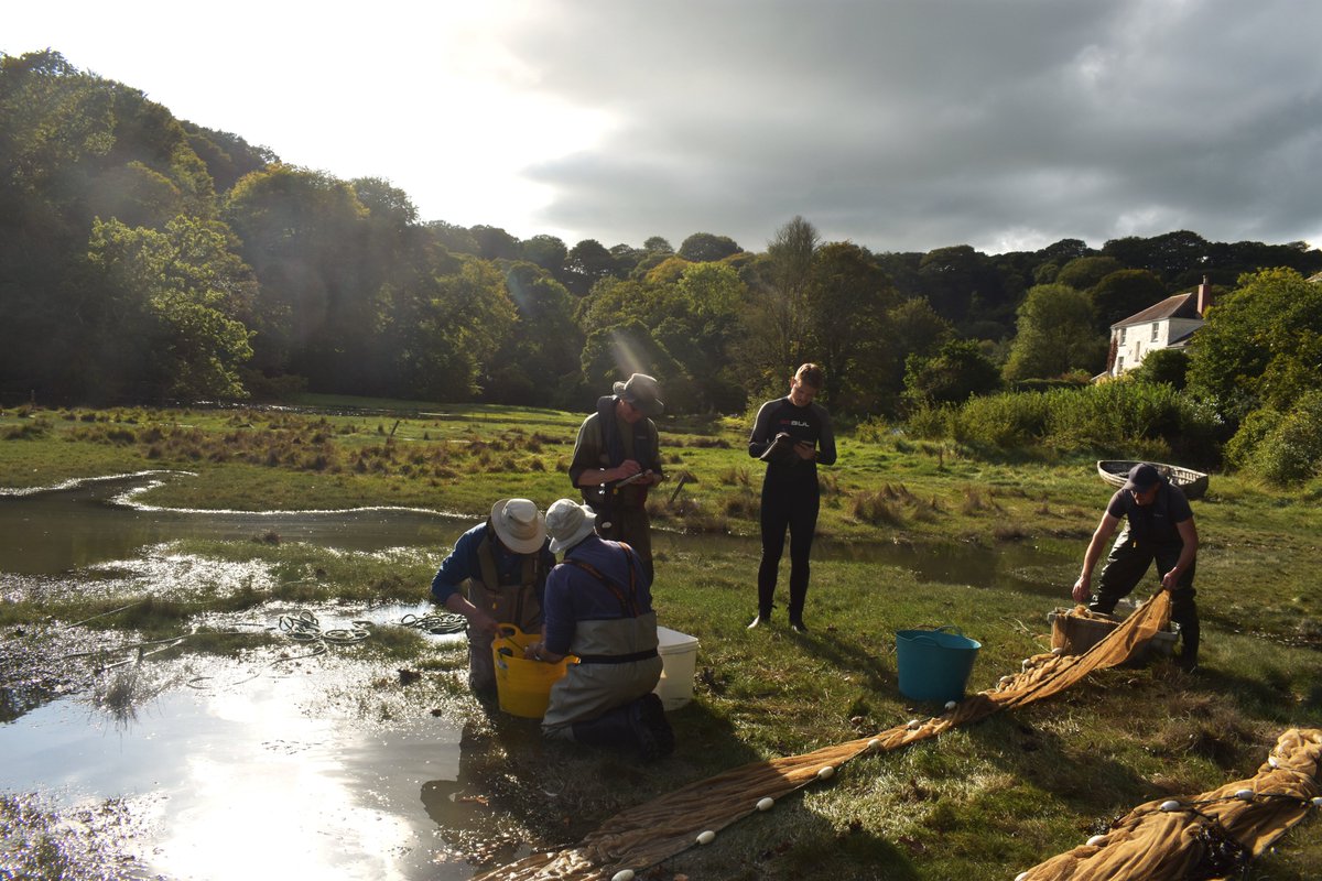 Ben Ciotti (@benciotti) on Twitter photo Look forward to welcoming <a href="/IFMFish/">Institute of Fisheries Management</a> to <a href="/PlymUni/">University of Plymouth</a> next Friday for📢 free training events📢in fish ecology, in the National Marine Park <a href="/PlymSoundNMP/">Plymouth Sound National Marine Park</a>:
Afternoon = practical demo
Evening = public talk
See thread for more info and sign up.
<a href="/Fin_Vision/">FinVision</a> Look forward to welcoming <a href="/IFMFish/">Institute of Fisheries Management</a> to <a href="/PlymUni/">University of Plymouth</a> next Friday for📢 free training events📢in fish ecology, in the National Marine Park <a href="/PlymSoundNMP/">Plymouth Sound National Marine Park</a>:
Afternoon = practical demo
Evening = public talk
See thread for more info and sign up.
<a href="/Fin_Vision/">FinVision</a>