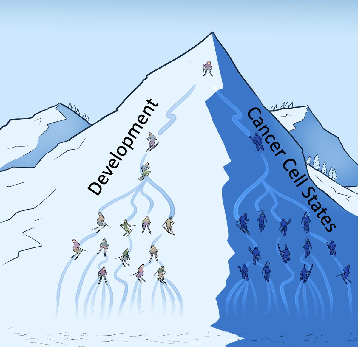 Itai Yanai (@itaiyanai) on Twitter photo In today's Cell, we propose a “developmental constraint” model whereby cancer cell state plasticity is restricted by the organism’s developmental map to access progenitor-like states and differentiated-like states of adjacent lineages.🧵⬇️
sciencedirect.com/science/articl… <a href="/AyushiPatel3994/">Ayushi Patel</a> In today's Cell, we propose a “developmental constraint” model whereby cancer cell state plasticity is restricted by the organism’s developmental map to access progenitor-like states and differentiated-like states of adjacent lineages.🧵⬇️
sciencedirect.com/science/articl… <a href="/AyushiPatel3994/">Ayushi Patel</a>