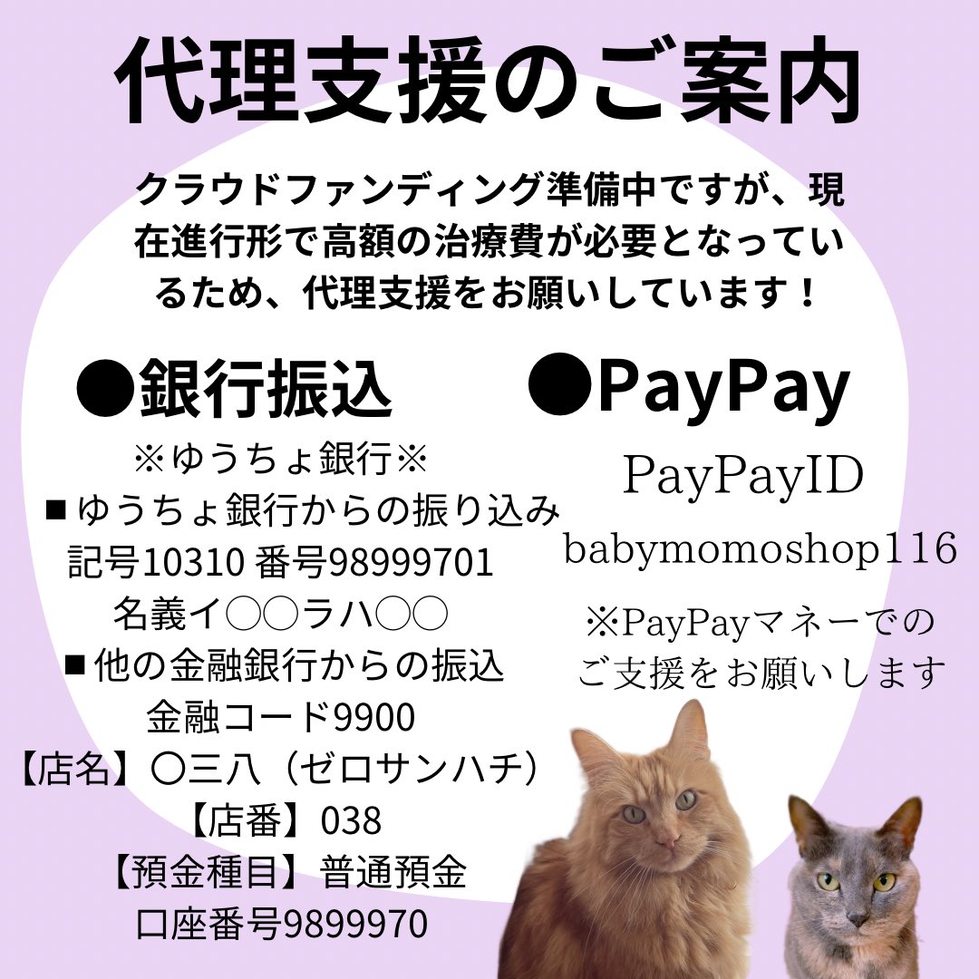 pocomomomo's tweet image. 【緊急ご支援のお知らせ】
口腔内の悪性腫瘍を患ってしまった愛猫ちゃももを助けたい！
この度みなさまのお力を貸して頂けないかと思い、クラウドファンディングを申請中です。ですが今も一刻を争う緊急事態であるため、ご支援をお願いしています。
みなさまのお力を貸していただけないでしょうか？
