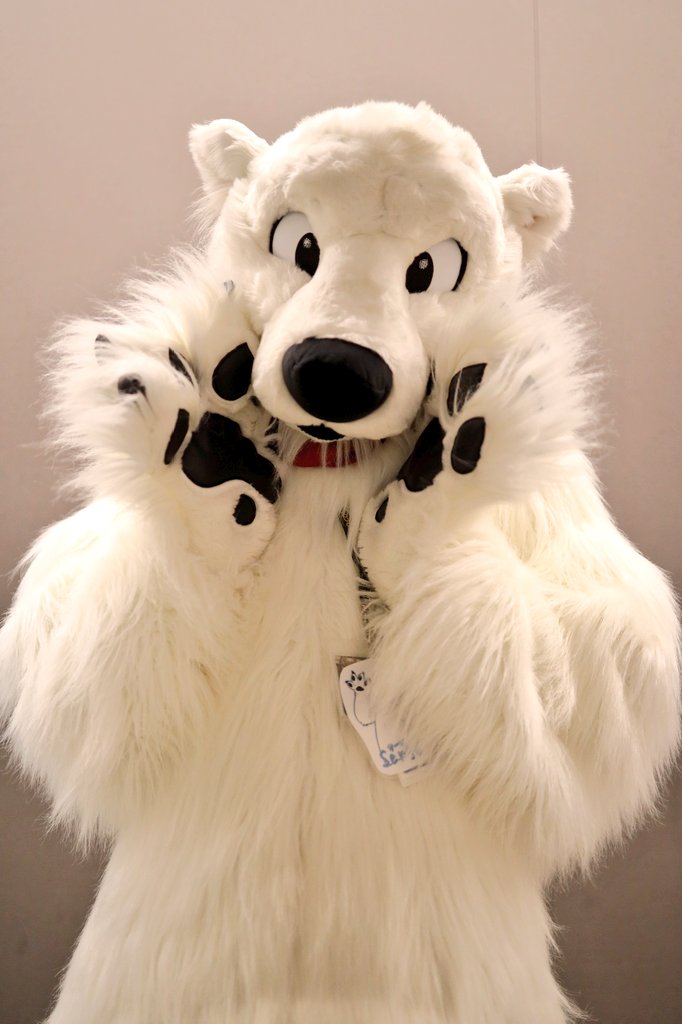 eps_ham's tweet photo. 🐻❄️
#Fursuitfriday #OFFF2023
📷 @Lugar_s_s https://t.co/RdSAMGPcax