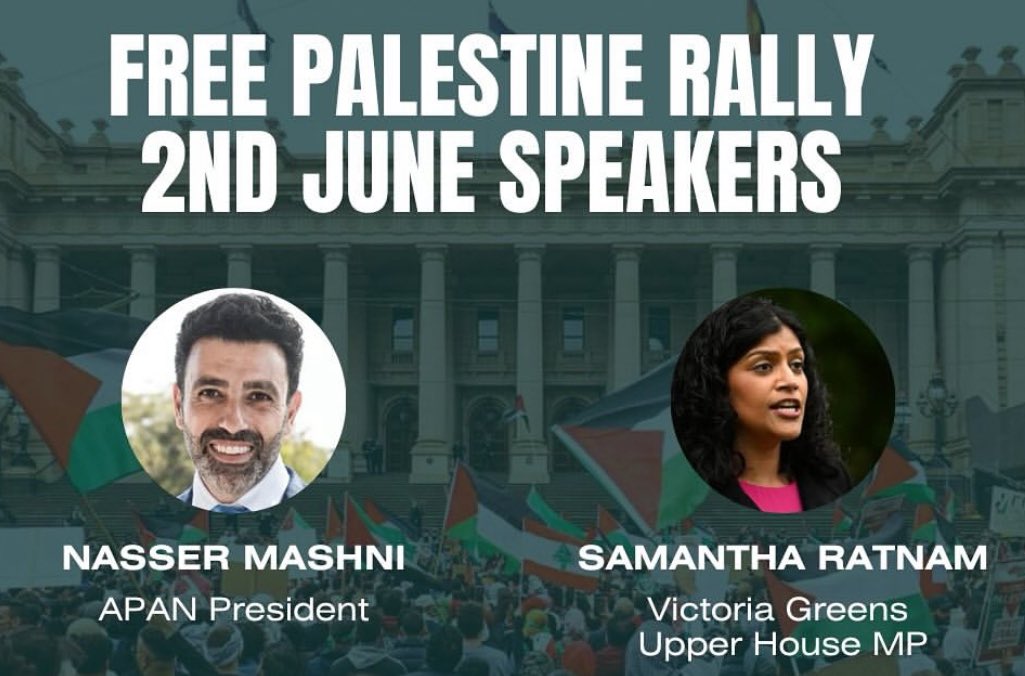 Menachem Vorchheimer tweet media