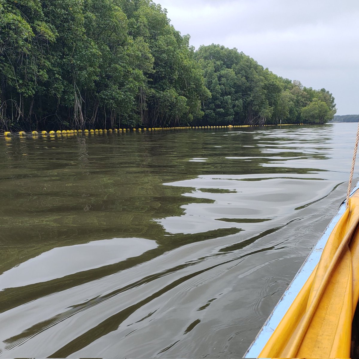 ไม่ต้องมีที่ให้ฉันอยู่ แต่ขอแค่มีฉันอยู่ก็พอ🍃#แคปชั่น #แคปชั่นเด็ด #แคปชั่นโดนๆ #แคปชั่นเสี่ยว #แคปชั่นเศร้า #แคปชั่นอกหัก #แคปชั่นโสด #แคปชั่นเด็ดๆ #แคปชั่นเหงา #ถูกทิ้ง #แคปชั่นอ่อย #แคปชั่นแอบรัก #คำคม #แคปชั่นกำลังใจ #แคปชั่นเจ็บ #คำคมเหงาๆ #คำคมไม่รัก #เจ็บจี๊ด #loveasdevil