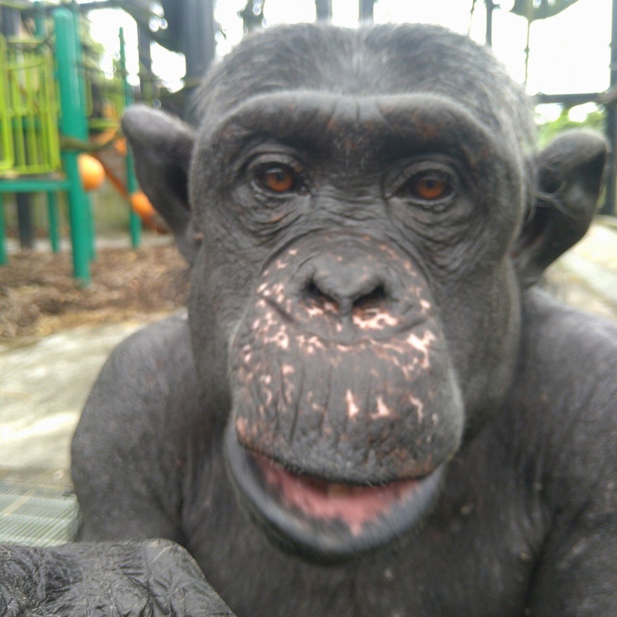 🐵Happy Birthday🙉 マリオ誕生日おめでとう🎉 本日28歳になりました