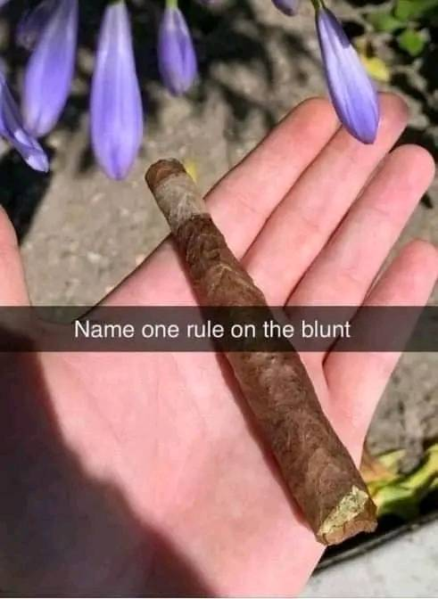 Stoner Jesus™ tweet media