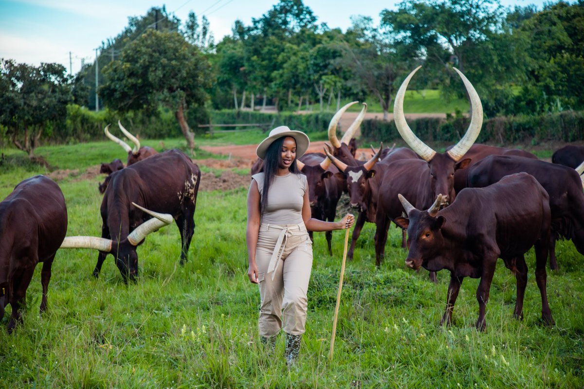 emburara's tweet image. As we welcome a new chapter, let's revisit the memories that shape us.   Remember, every day is a chance to #StayIconic ✨
📧 reservations@emburarafarmlodge.com
☎️ +256776210872 | +256776200080
🌐 emburarafarmlodge.com
#LifeOnTheFarm  #FarmLodge #AnkoleCow