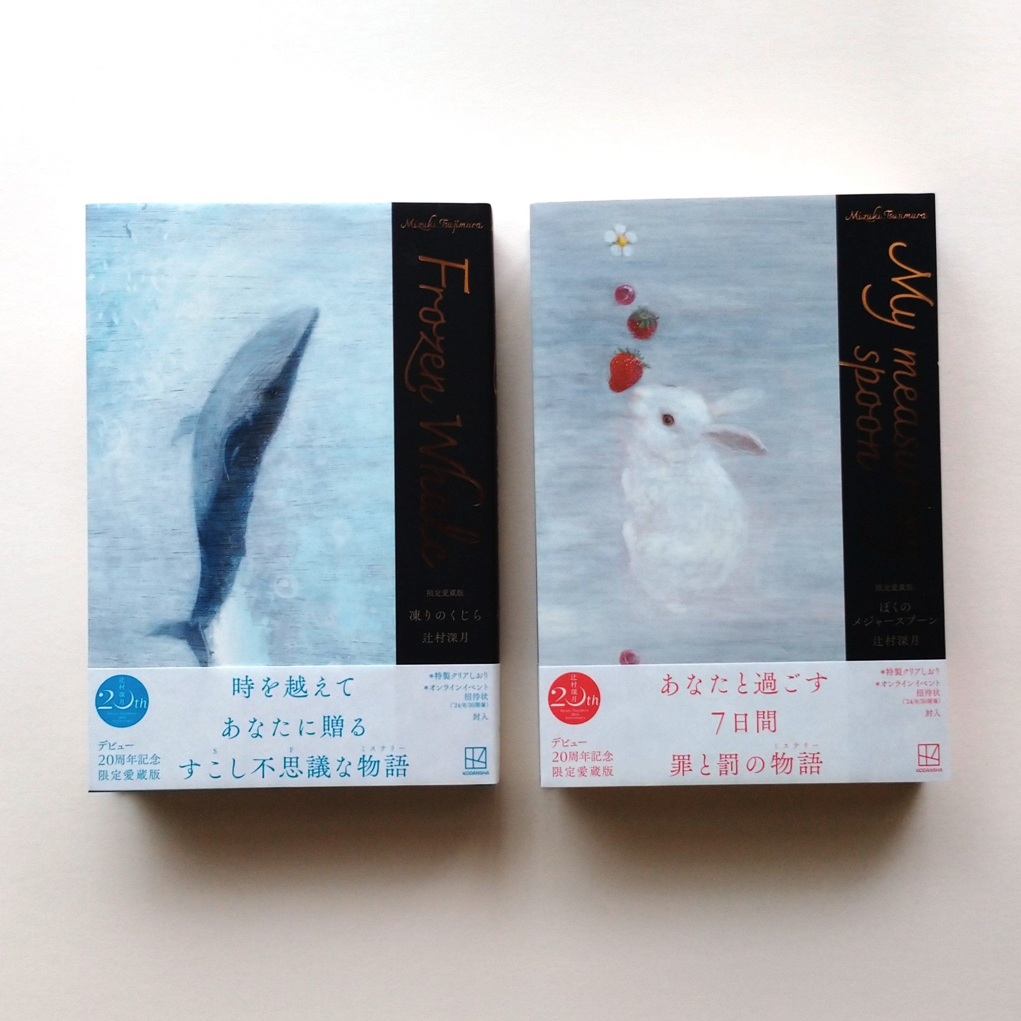 限定愛蔵版 ぼくのメジャースプーン 限定愛蔵版 凍りのくじら/ぼくの