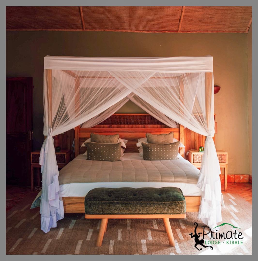 wekesa_amos's tweet photo. FRIDAY MARKET DAY

Your potential customer(s) might be on my timeline.  Showcase your services and products in the comment section!

#FridayMarketDay 

BOOK PRIMATE LODGE KIBALE , part of (@Ugandalodgesltd )
+256 772426368 

Book online: https://t.co/BbSdIlCDKs https://t.co/7EYb5GnaKc
