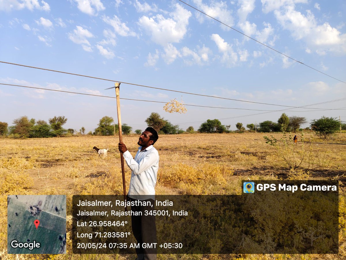 lalitpa17376823's tweet photo. @ccc_jdvvnl यह‌ डेलासर गांव के पास चांधन उप-खंड, जैसलमेर की‌ तस्वीरें हैं जहां 11 केवी लाइन इतनी नीचे आ गई की किसी व्यक्ति द्वारा भी इसें छूआ जा सकता है। कृपया उचित कार्रवाई कर जान-माल की हानी से बचें।
@BhajanlalBjp @RajCMO  @hlnagar @CEEPIndia @RakeshParmarNGO @consumer_guild https://t.co/a36hi0ezgg