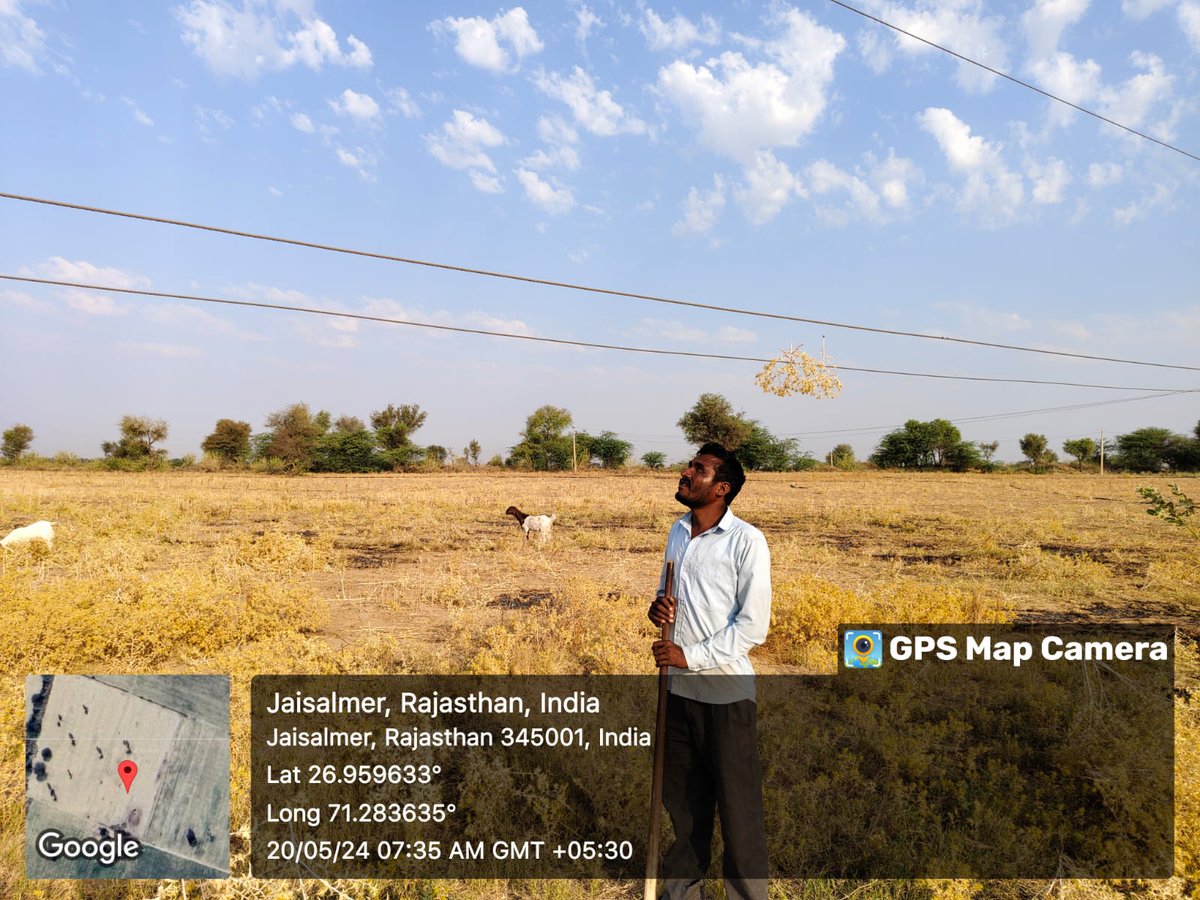 lalitpa17376823's tweet photo. @ccc_jdvvnl यह‌ डेलासर गांव के पास चांधन उप-खंड, जैसलमेर की‌ तस्वीरें हैं जहां 11 केवी लाइन इतनी नीचे आ गई की किसी व्यक्ति द्वारा भी इसें छूआ जा सकता है। कृपया उचित कार्रवाई कर जान-माल की हानी से बचें।
@BhajanlalBjp @RajCMO  @hlnagar @CEEPIndia @RakeshParmarNGO @consumer_guild https://t.co/a36hi0ezgg