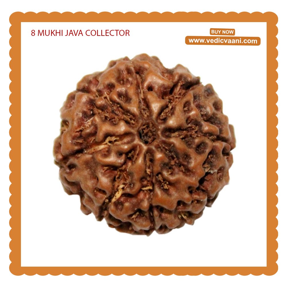 VedicVaani's tweet photo. Buy 8 Mukhi Java Collector - Vedic Vaani
Featuring 24-27 mm Rudraksha beads, this powerful talisman represents Lord Ganesha, removing obstacles and bestowing success upon the wearer.
Visit Us:
https://t.co/Vd5PcceKD9
#8MukhiRudraksha #LordGanesha #Success #JavaBeads #VedicVaani https://t.co/uZY7trPWl8