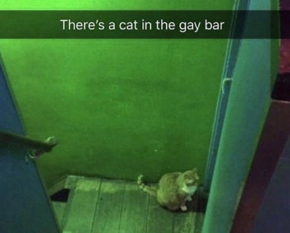 𝚌𝚑𝚞𝚢❀ (@cockiust) on Twitter photo 