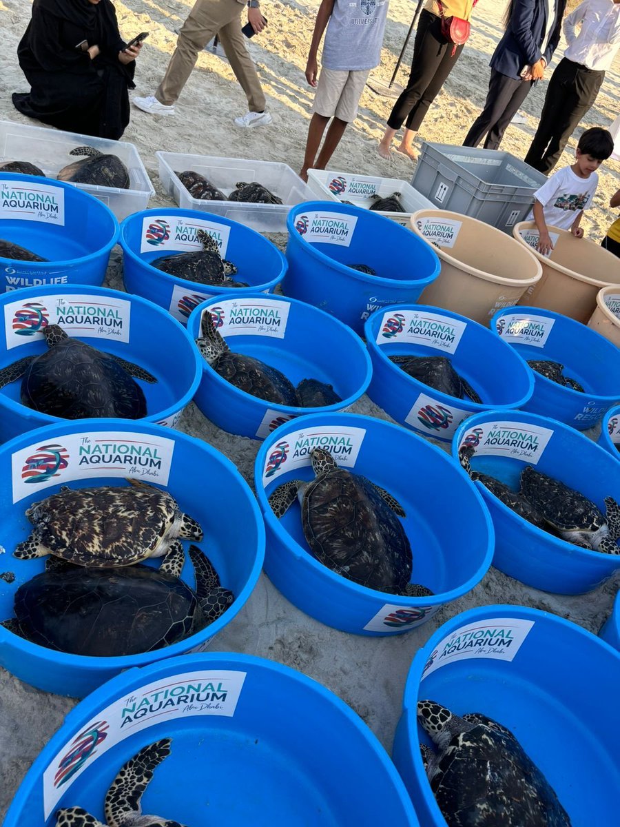varunkhona's tweet photo. This World Enivornment Day, the @headout team really came together to make a difference. We revitalised a nursing home garden in Berlin. We planted a few hundred trees in Bangalore. We cleaned up Prospect Park in Brooklyn. We released 250 turtles back in the sea in the UAE. 1/2 https://t.co/QV3dsjR1dm