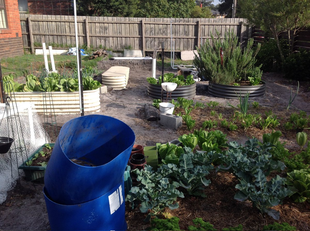 DionHarper15's tweet photo. I miss my whole frontyard #veggiepatch, long story as I look at the year I created this page. Moving on, I'm near done re a I converted it to a road legal ebike rebuild project. Getting there, I rebuilt a BMX bike in my youth so it's a nostalgic sort of experience for me :). Dion https://t.co/CyXj56cFQ0