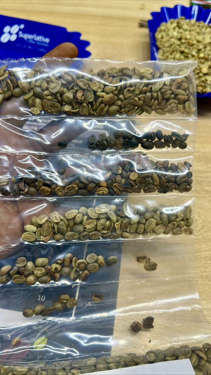 SuperCoffee_Ug's tweet photo. physical review and analysis. This process should be executed with precision and care, maintaining the integrity of the quality control workflow and supporting the continuous improvement of coffee quality standards. Quality control isn't just a step in our process-its our passion https://t.co/vwQx4dkhzQ