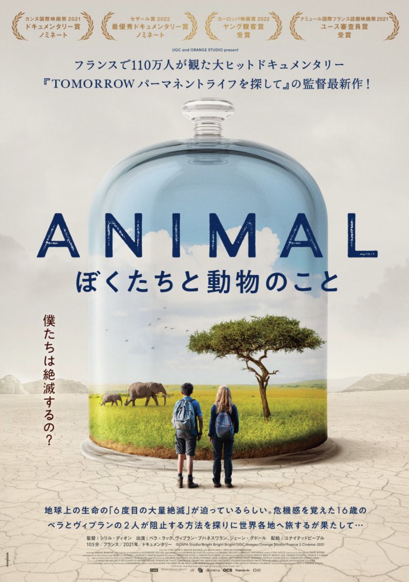 本日夕方、渋谷で映画見てから夜行バスで出張先に向かいます。興味がある人いましたらご一緒どうですか？上映後にお茶飲みながら意見交換会しましょう😊