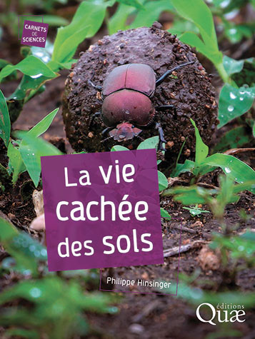 alaindelavie's tweet image. Nouveau #livre à découvrir :
La vie cachée des sols
Philippe Hinsinger, Éditions Quae @editionsquae 
pariscotejardin.fr/2024/06/la-vie…